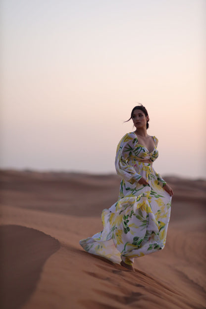 ZIRAHU DRESS