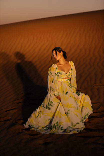 ZIRAHU DRESS